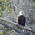 100_1184.jpg